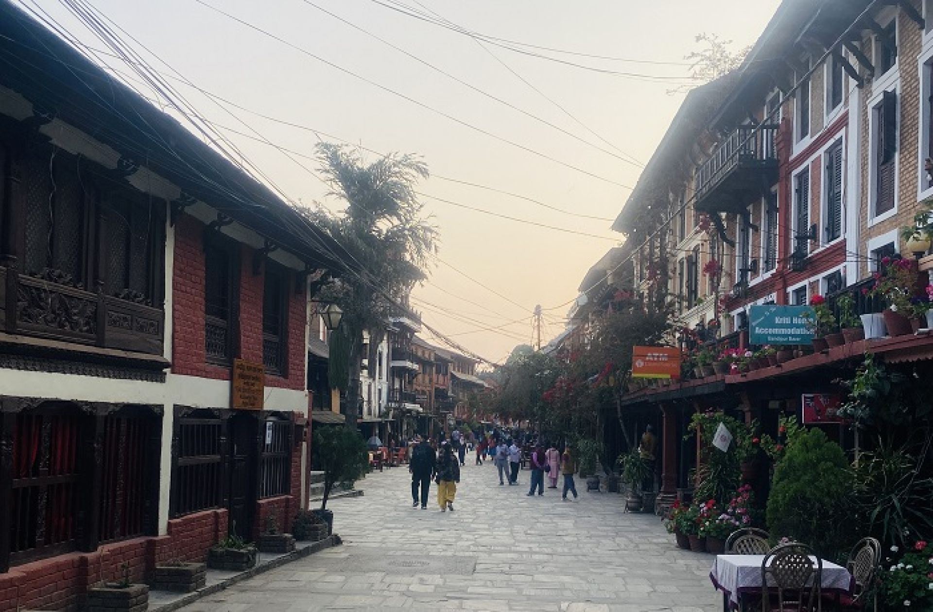 Over 200,000 tourists visit Bandipur in a year